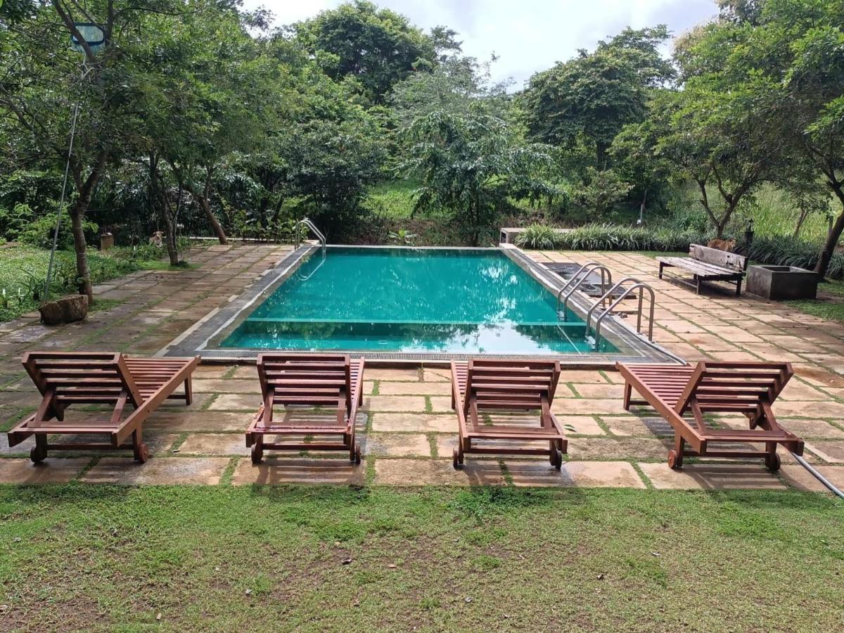 Spice Village Hotel & Restaurant Habarana Buitenkant foto