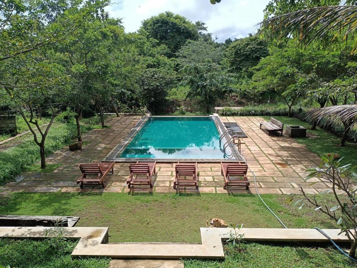 Spice Village Hotel & Restaurant Habarana Buitenkant foto